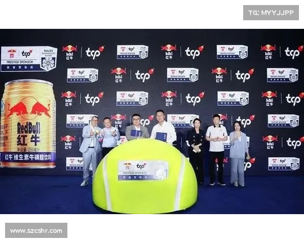 赛事赞助标准核心要素与规范指南